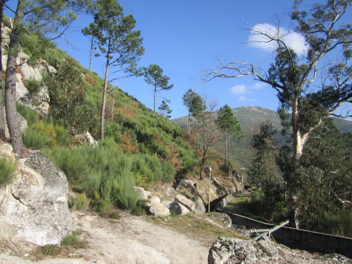 Casa Miguel Villa Sabugueiro  Buitenkant foto